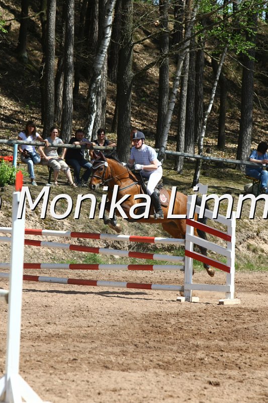 204M8401_Double Diamond_Spring_Axx.JPG